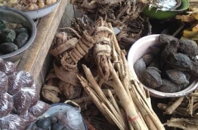 MAMA JOY ]➸ +27764410726  ➸]” A TRADITIONAL HEALER / SANGOMA/ A SPELL CASTER AND A SPIRITUAL HEALER In Bloemhof, Brits, Chistiana, Fochville, GaRankuwa, Klerksdorp, Koster, Letsopa, Mabopane, mmabatho, Orkney, South africa ,Potchefstroom, Reivelo, Rustenburg, Schweizer Reneke, Ventersdorp, Vryburg, zeerust