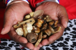 SANGOMA  In Butterworth & Delmas [+27764410726]TRADITIONAL HEALER  ⓶:@#  In Bredasdorp , Bronkhorstspruit , Burgersdorp, South africa, Butterworth , Caledon , Camperdown , Cape town , Carltonville , Centurion , citrusdal , Clocolan , Cofimvaba , Cradock , Creighton , Cullinan ,Delmas , Dundee ,