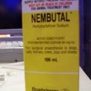 Are you terminally ill, weak,