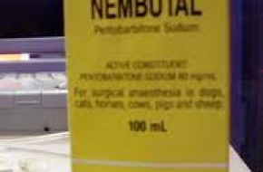 Nembutal Sodium for sale without prescription