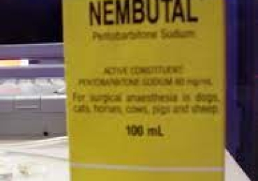 Nembutal Sodium for sale without prescription