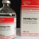 Nembutal Available