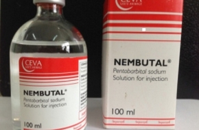 Nembutal Available