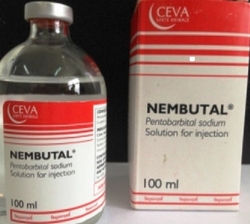 Nembutal for sale