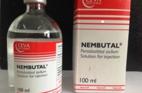 Nembutal for sale