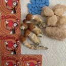 Lsd, dmt, mdma, shrooms, meth, ket, heroine,