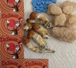 Lsd, dmt, mdma, shrooms, meth, ket, heroine,